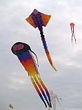 Cervia 2011-201